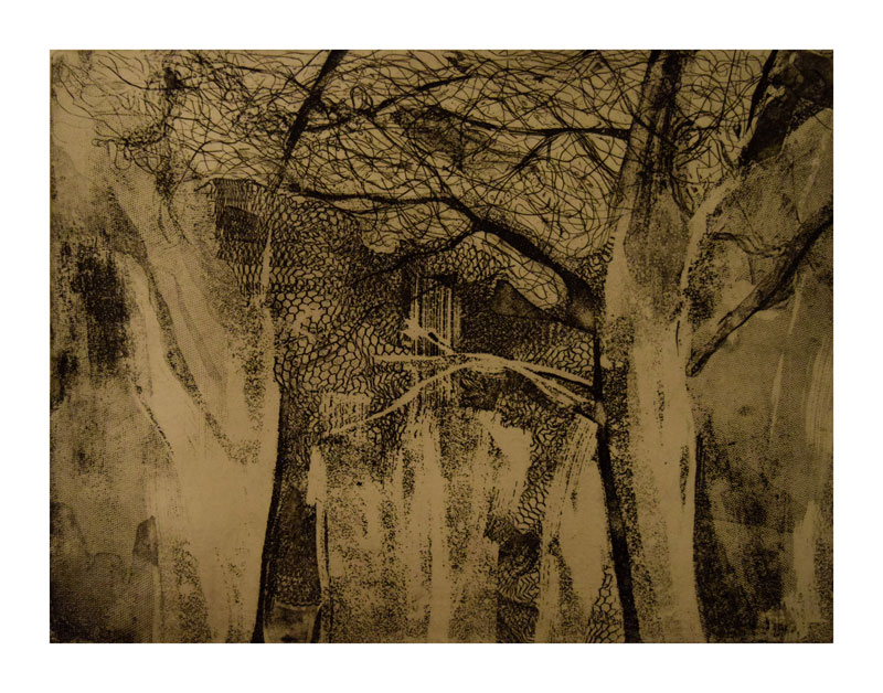 Etching The Trees